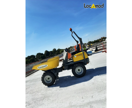 location dumper 1 tonne